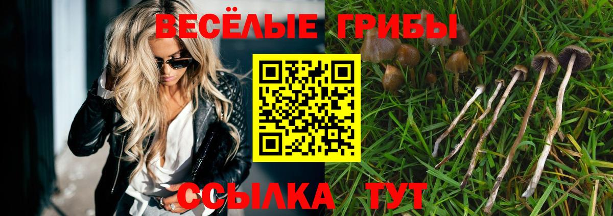 Железноводск  Псилоцибиновые грибы мухоморы  Вход с VPN 